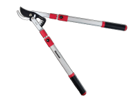 Κανένα σετ εικόνων 